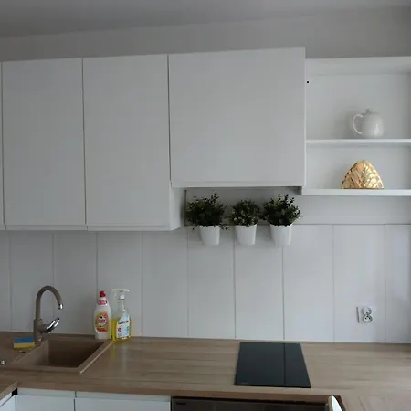Apartament Piasniki Świętochłowice